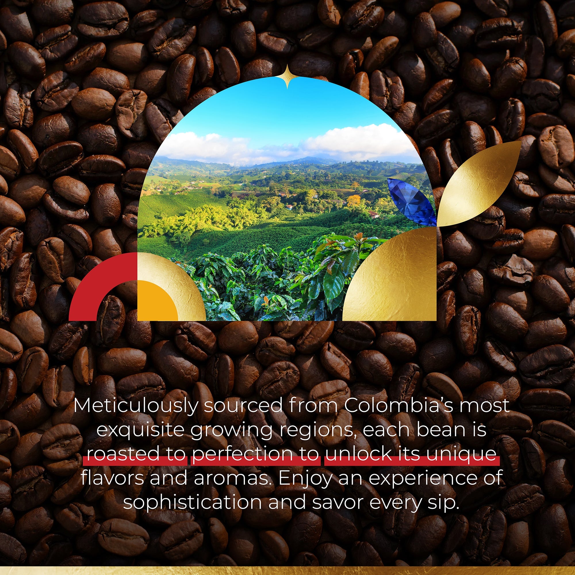 Discover the Excellence of Colombian Coffee: The Sapphire Journey - Sapphire Coffee